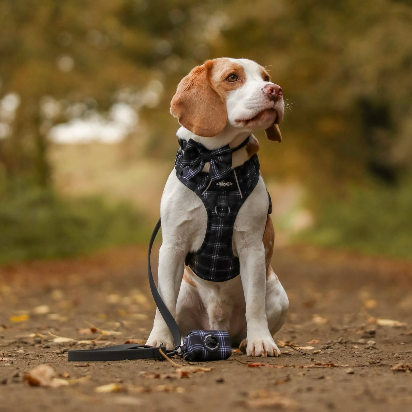 Poop Bag Holder - LUXE Noir Plaid