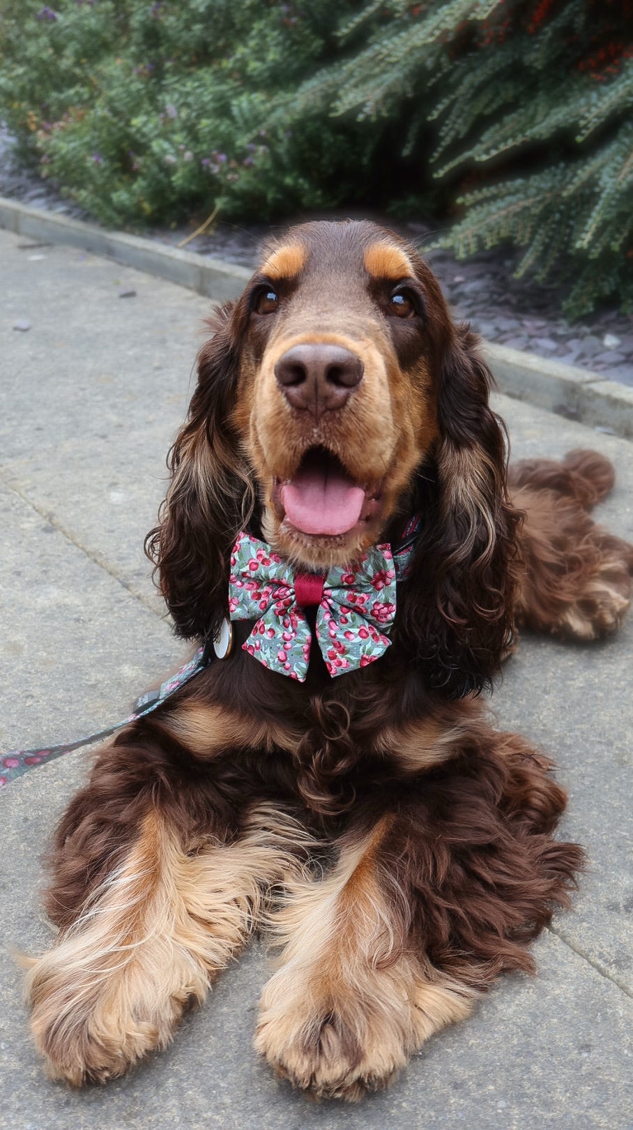 Sailor Bow Tie - Crab Apple Cottage