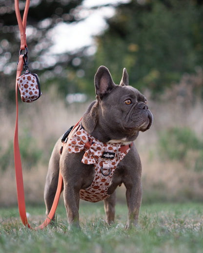 Dog Poop Bag Holder - Pumpkin Farm