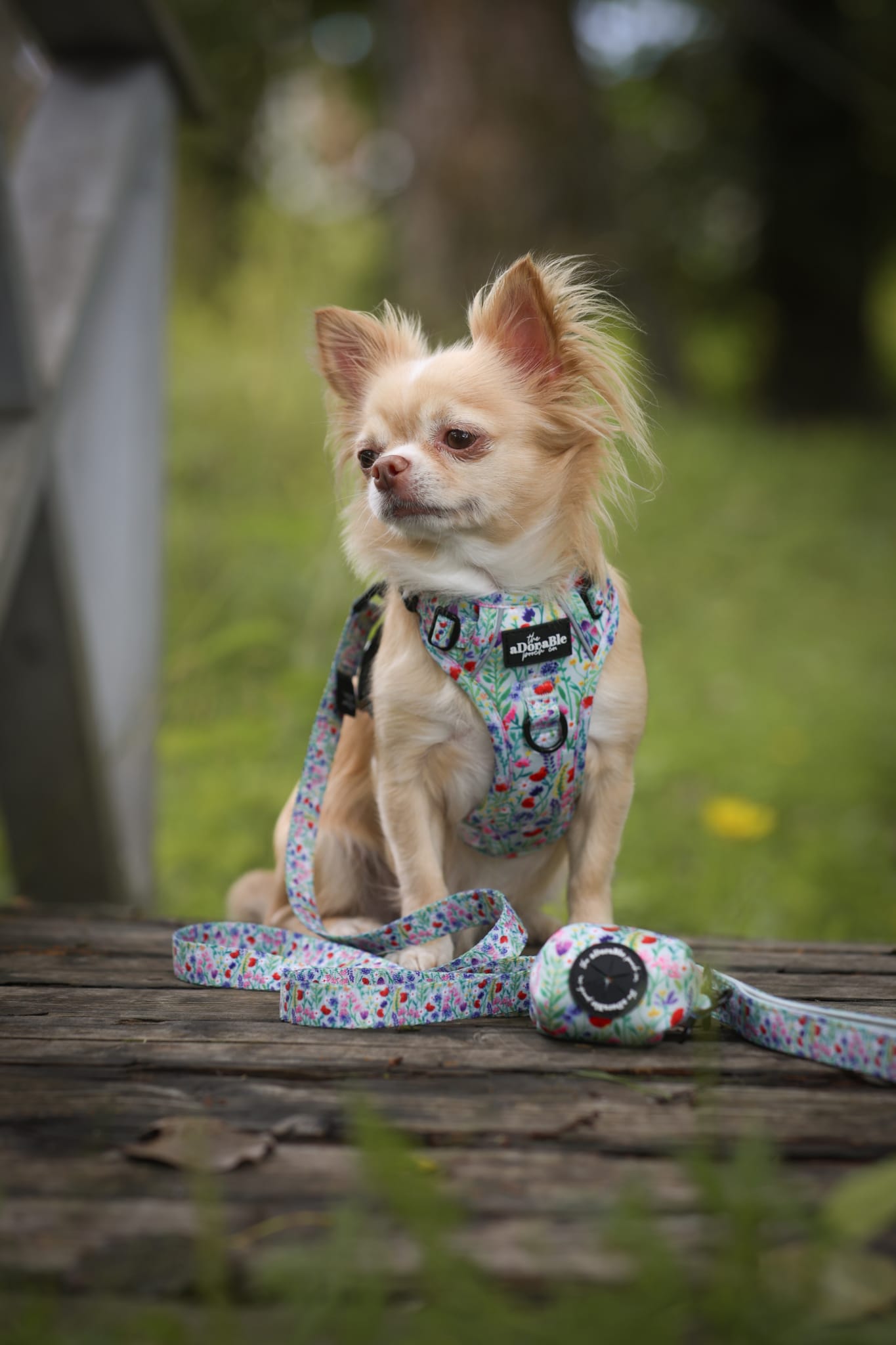 Poop Bag Holder - Wildflower Meadow