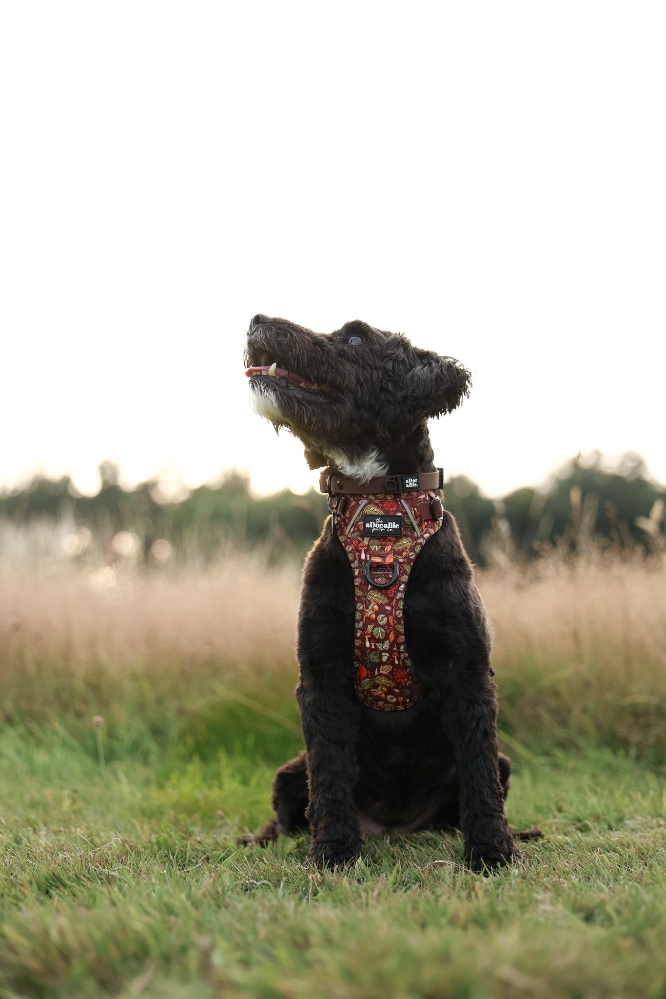 Hike & Go™ Harness - Foragers Forest