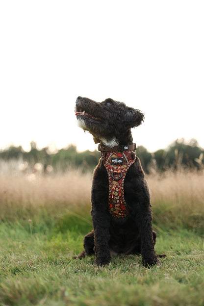 Hike & Go™ Harness - Foragers Forest