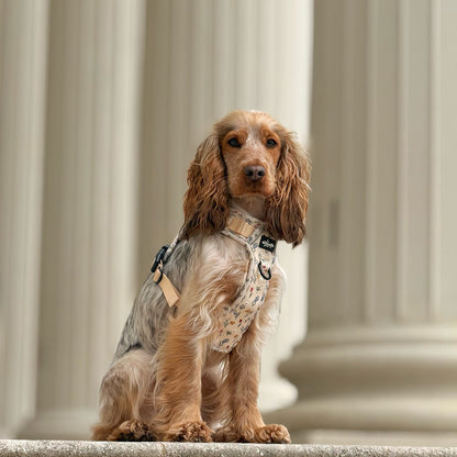 Hike & Go Lite™ Harness - Spring Garden