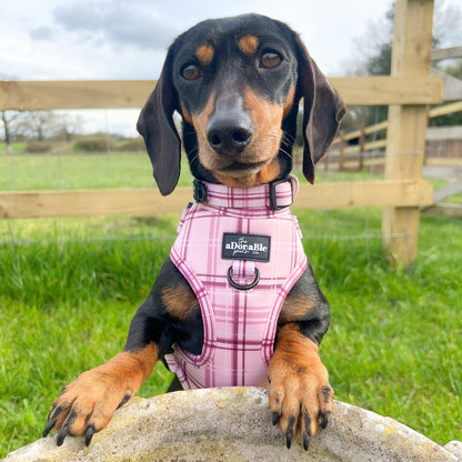 Collar - LUXE Rose Quartz Plaid