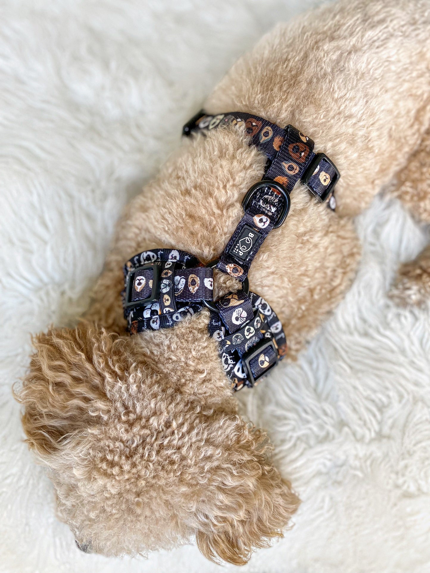Adjustable Harness - The aDoraBle Pooch Co x Boop My Nose - Boop! - Black