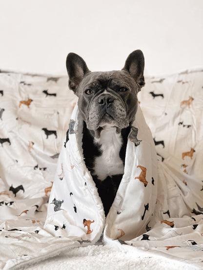 Supersize Soft Blanket - Watercolour French Bulldogs