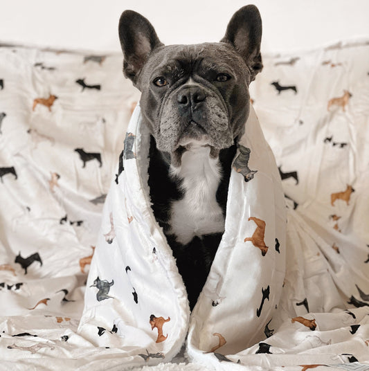 Extra Large Dog Breed Blanket - French Bulldog
