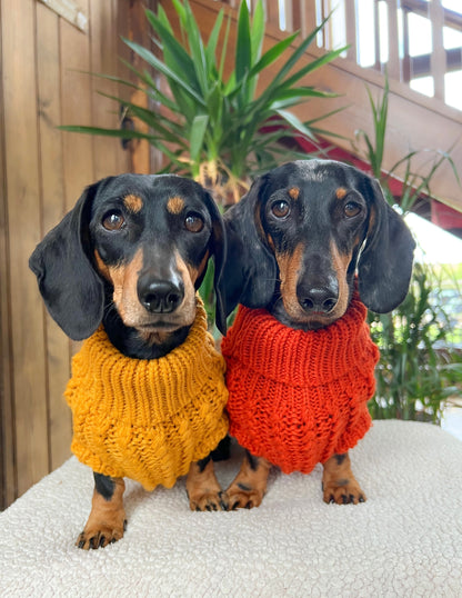 Hand Knitted Dachshund Jumper - Mustard Yellow