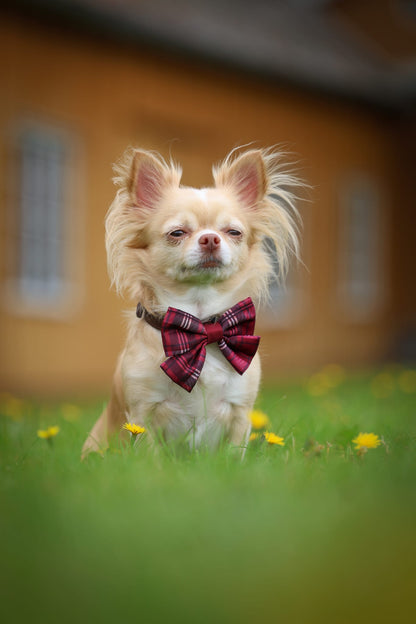 Heritage Sailor Bow Tie - Merlot Manor
