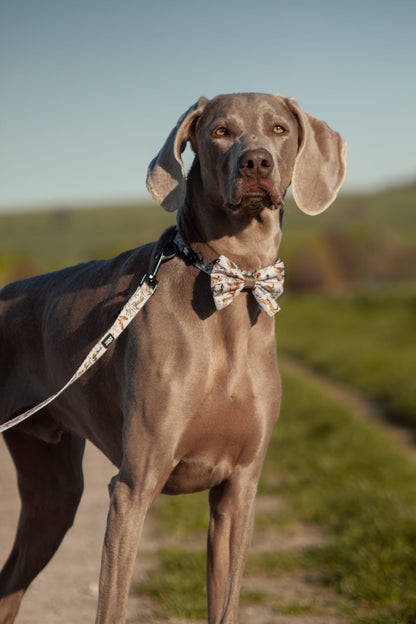 Dog Sailor Bow Tie - Cotswold Cottage