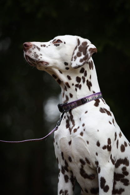 Collar - Moonlit Pines