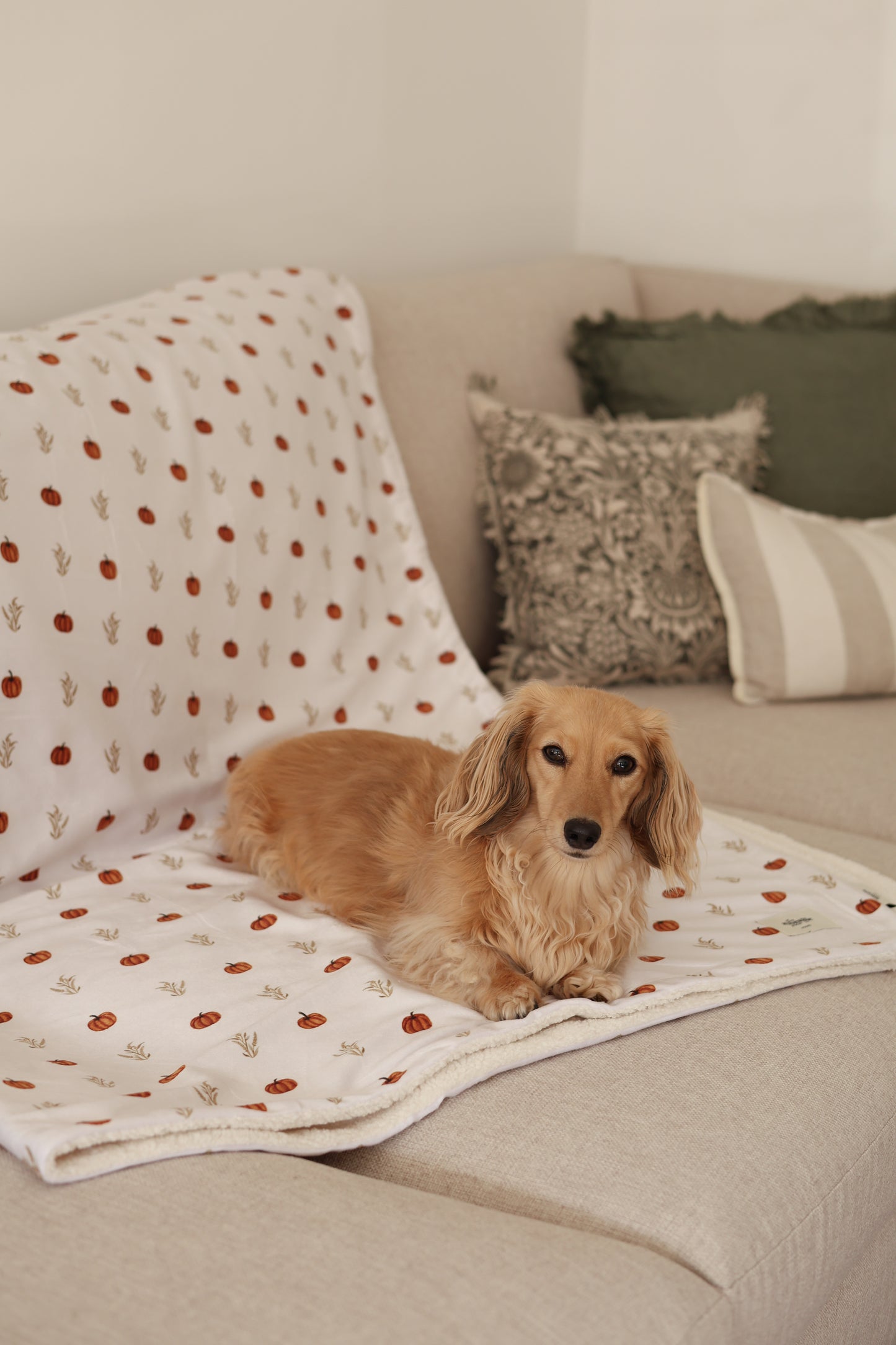 Supersize Soft Blanket - Pumpkin Farm