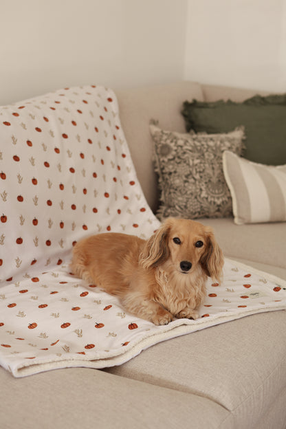 Supersize Soft Blanket - Pumpkin Farm