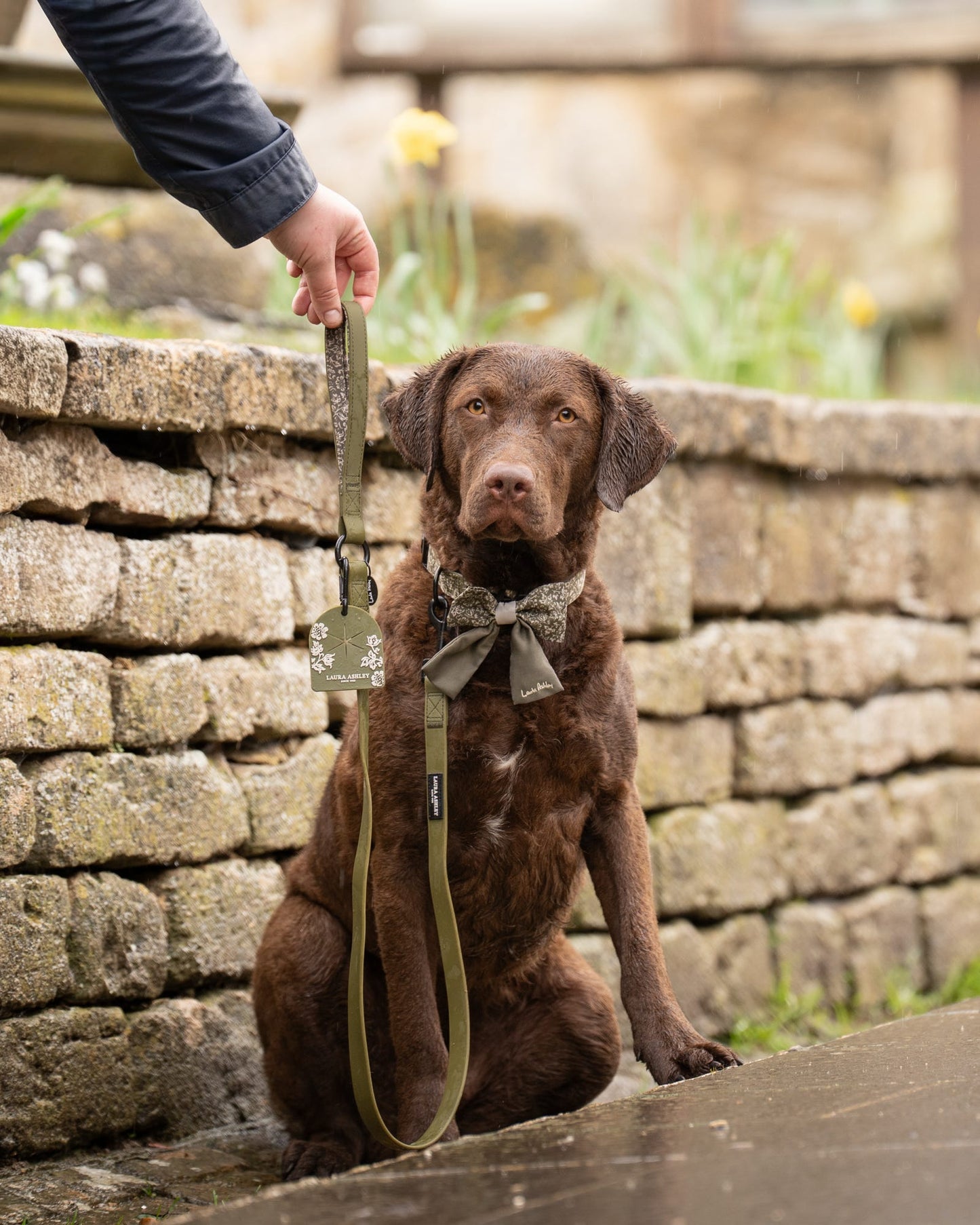 Laura Ashley Waterproof Dog Lead - Sweet Alyssum