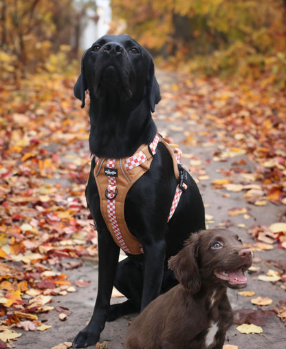 Hike & Go™ Harness - Gingerbread Waffle