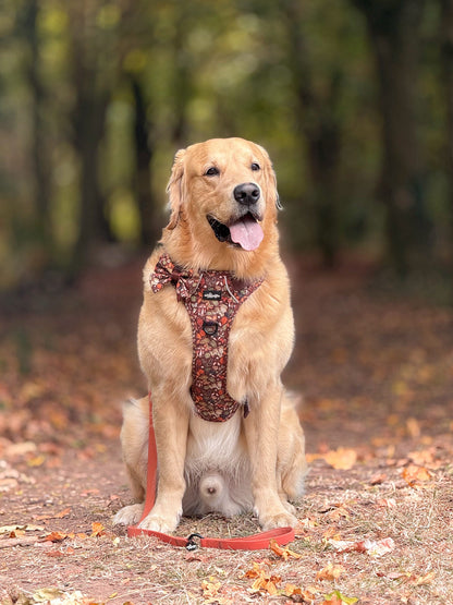 Hike & Go™ Harness - Foragers Forest