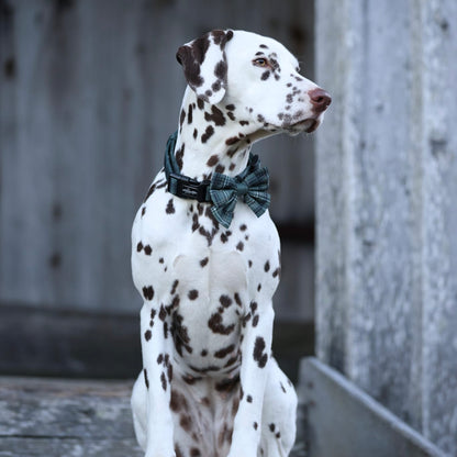 Sailor Bow Tie - LUXE Hunter Green Plaid