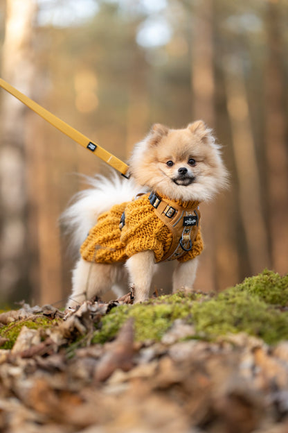 Hike & Go™ Harness - Honeycomb Hive - Large - SECONDS