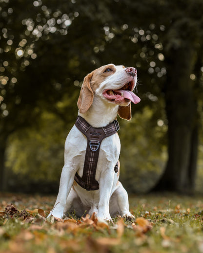 Streamline Pro™ Dog Harness - Heritage Collection - Truffle Brown