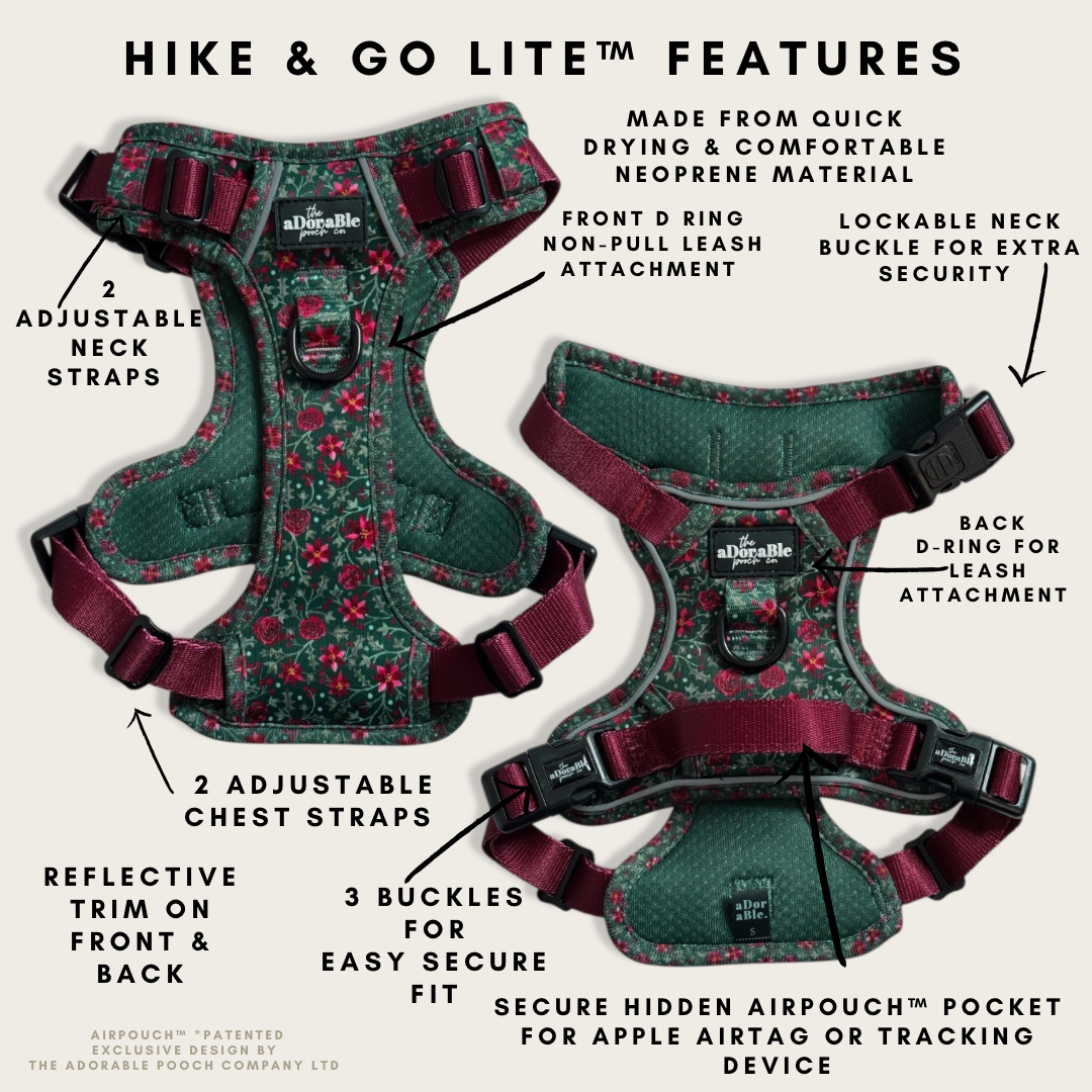 Hike & Go Lite™ Harness - Holly & Ivy