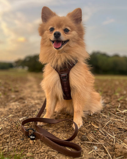 Streamline Pro™ Dog Harness - Heritage Collection - Truffle Brown