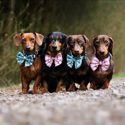 Sailor Bow Tie - LUXE Frosted Mint Plaid