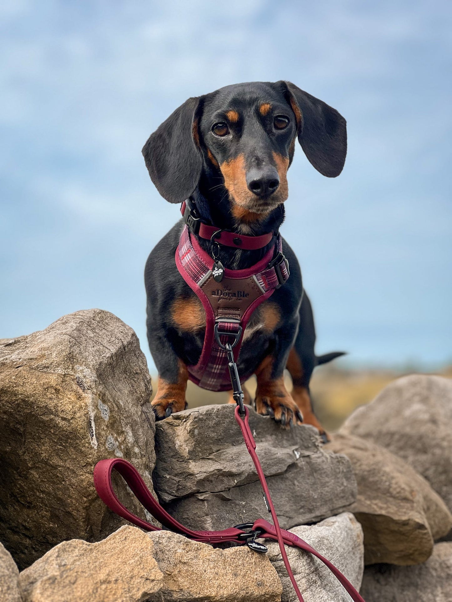 Streamline Pro™ Dog Harness - Heritage Collection - Merlot Manor
