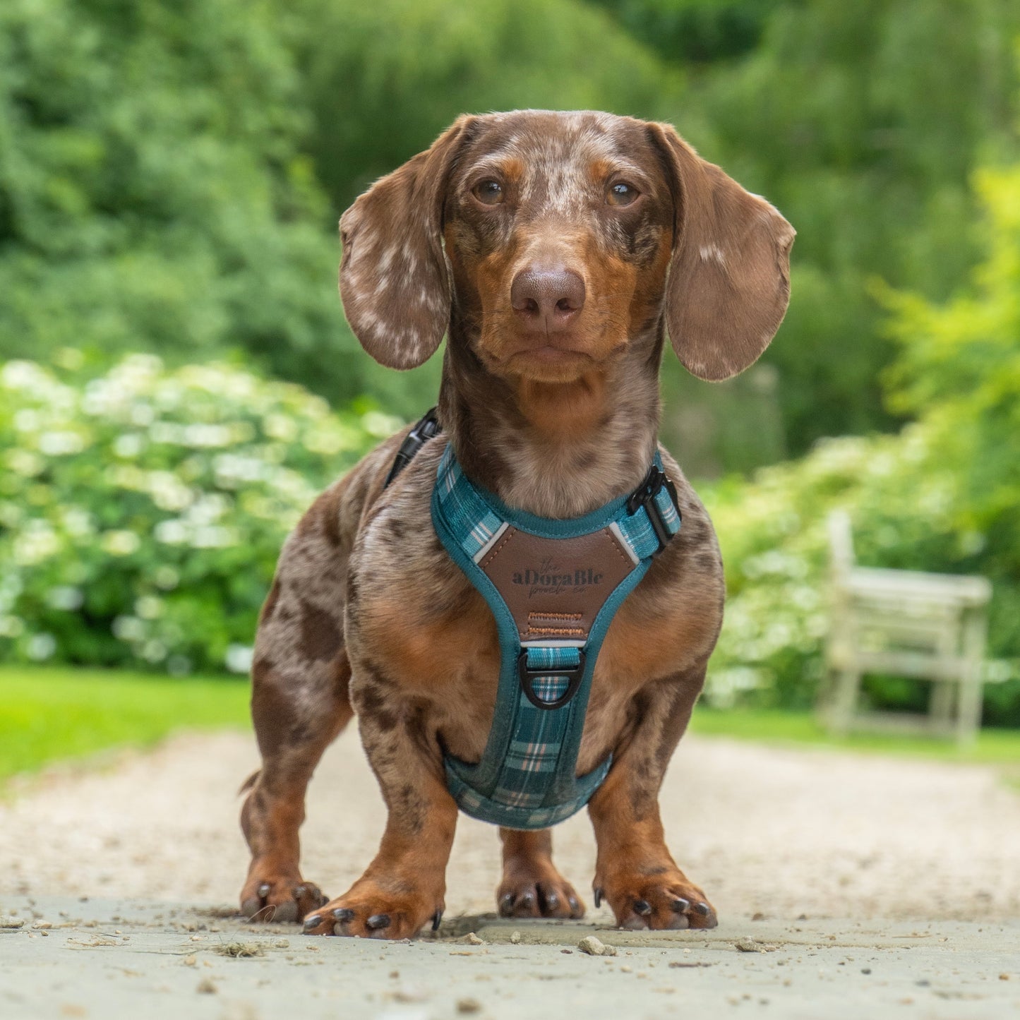 Streamline Pro™ Dog Harness - Heritage Collection - Pheasant Green