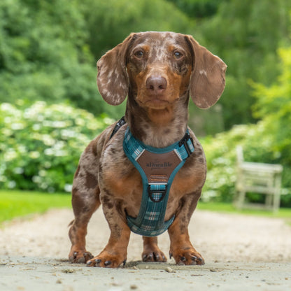 Streamline Pro™ Dog Harness - Heritage Collection - Pheasant Green