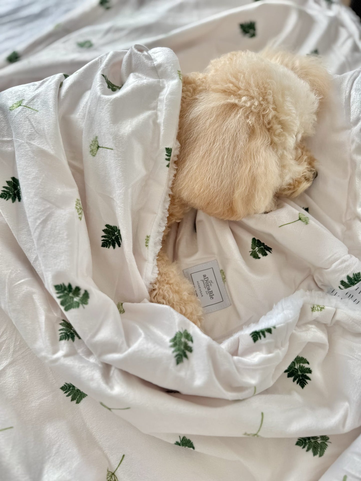 Supersize Soft Blanket - Forest Of Ferns