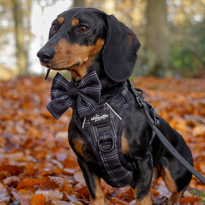 Sailor Bow Tie - LUXE Noir Plaid