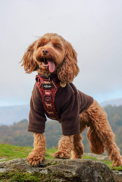 Hike & Go Lite™ Harness - Winter Fawn