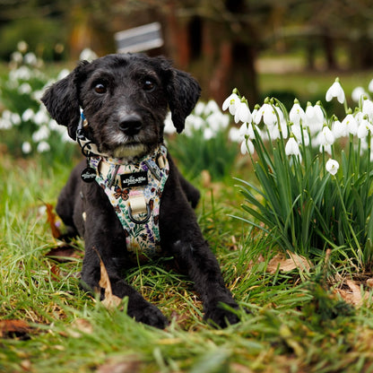 Hike & Go Lite™ Harness - Bumbles & Butterflies