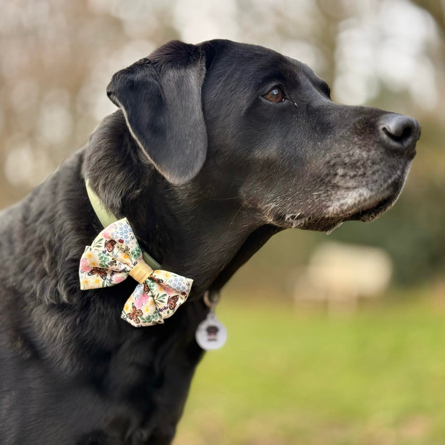 Sailor Bow Tie - Bumbles & Butterflies