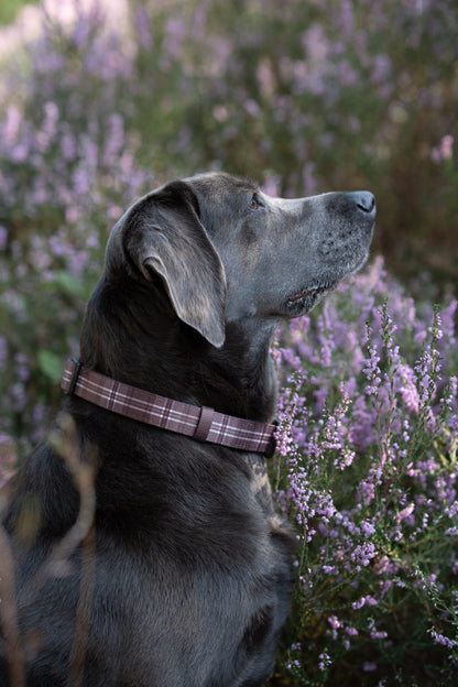 Heritage Collar - Truffle Brown