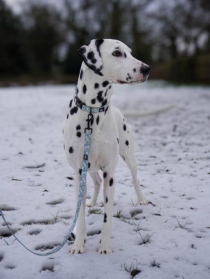 Dog Lead - Silent Snowdrops
