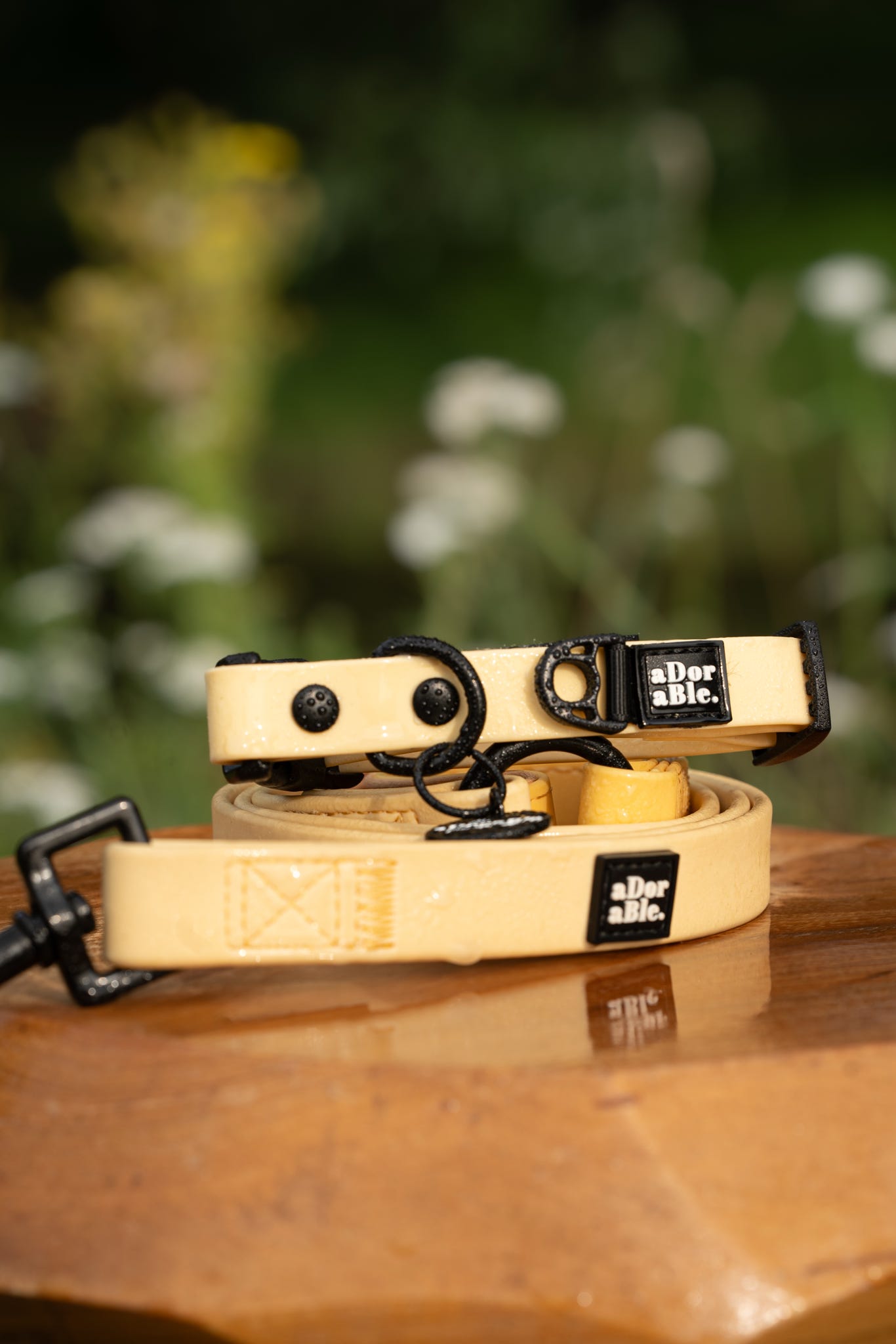 HydroFlex Lite™ Dog Collar - Lemon Sherbet