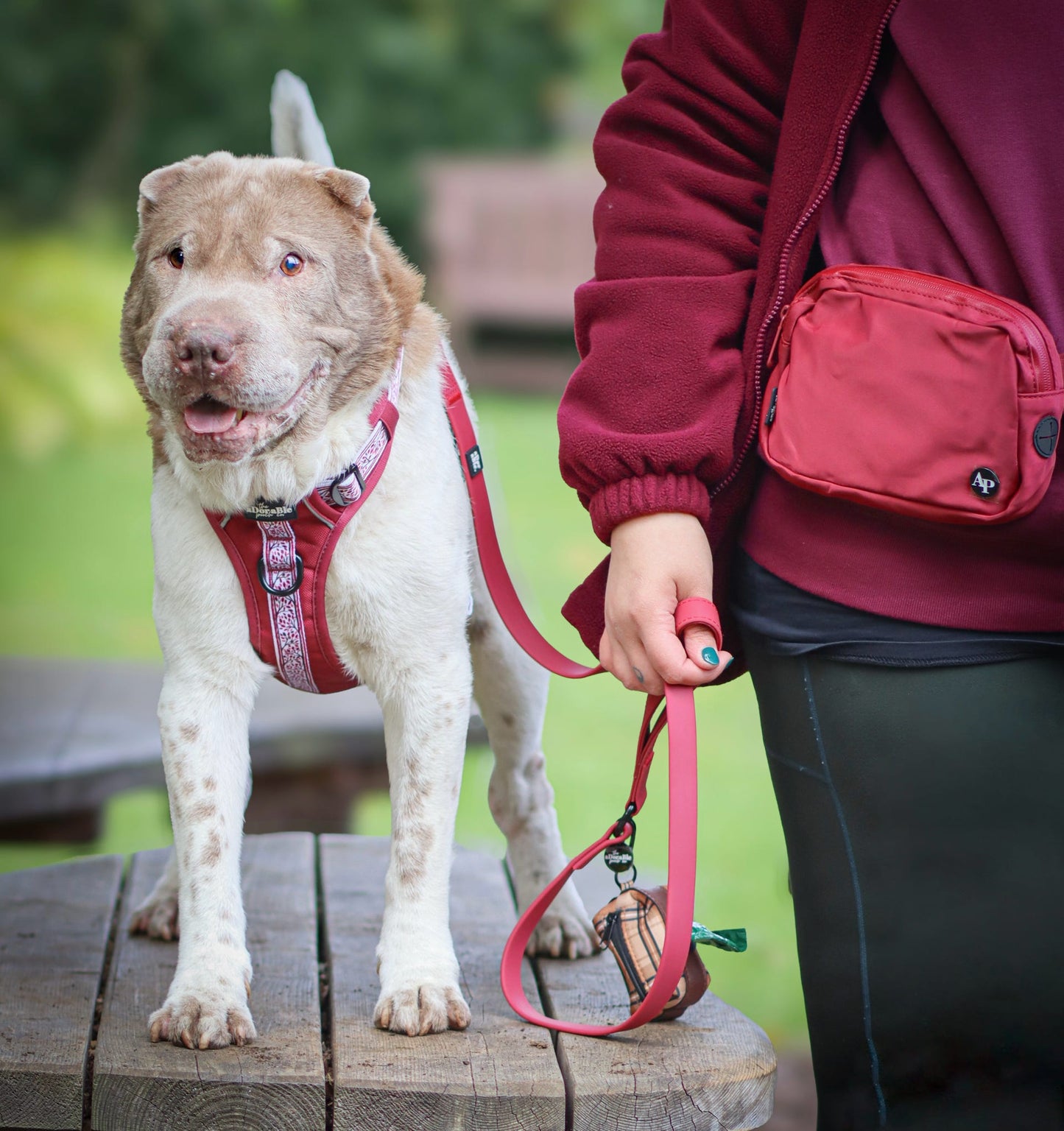 Slimline Everyday Bumbag - Dark Cherry Red