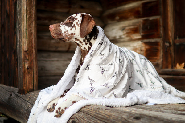 Supersize Soft Blanket - Watercolour Dalmatians
