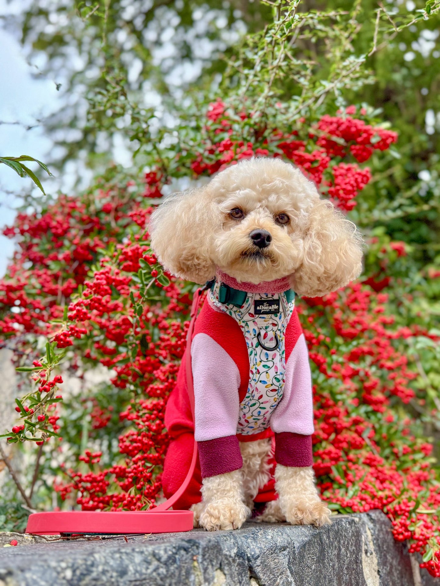 Hike & Go Lite™ Harness - Festive Lights