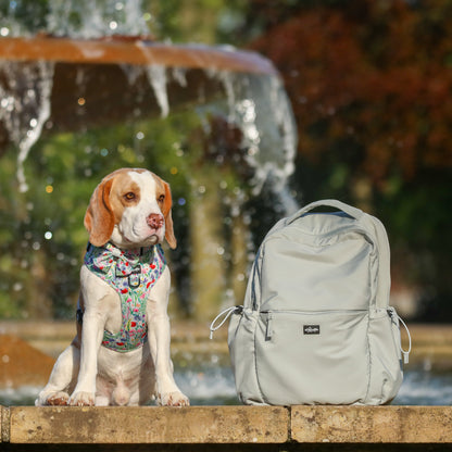 Backpack - Fresh Mint