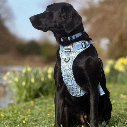 Hike & Go Lite™ Harness - Willow Waters