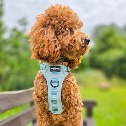 Hike & Go™ Harness - Hint Of Mint