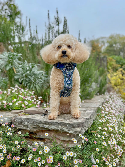 Hike & Go Lite™ Harness - Twelve Days