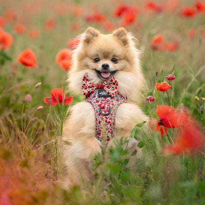 Hike & Go™ Harness - Painted Poppies