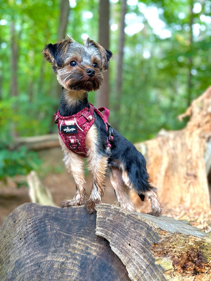 Hike & Go Lite™ Harness - Winter Fawn