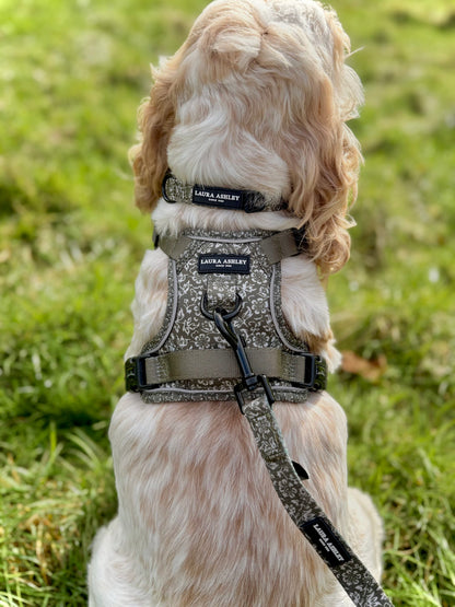 Laura Ashley Dog Harness - Sweet Alyssum