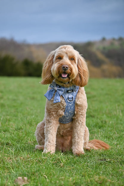 Laura Ashley Dog Harness - Shepherd's Purse