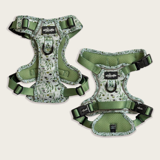 Hike & Go Lite™ Harness - Olive Grove