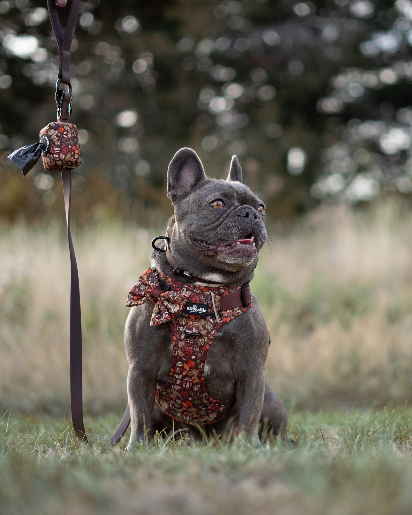 Poop Bag Holder - Foragers Forest